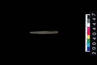 藏品(石針)的圖片