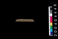 藏品(石針)的圖片