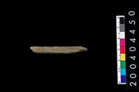 藏品(石針)的圖片