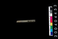 藏品(石針)的圖片