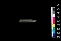 藏品(石針)的圖片