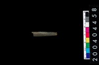 藏品(石針)的圖片