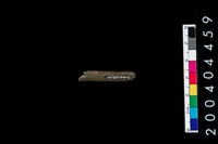 藏品(石針)的圖片