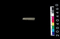 藏品(石針)的圖片