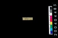 藏品(玉管珠)的圖片