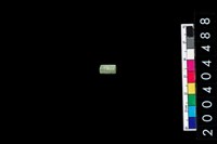 藏品(玉管珠)的圖片