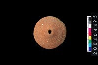 藏品(陶紡輪)的圖片