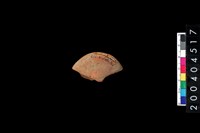 藏品(陶紡輪)的圖片