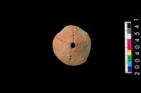 藏品(陶紡輪)的圖片