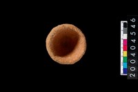 藏品(陶杯)的圖片