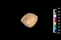 藏品(陶杯)的圖片