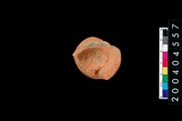 藏品(陶杯)的圖片