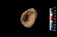 藏品(陶缽)的圖片