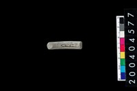 藏品(陶環)的圖片