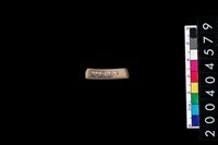 藏品(陶環)的圖片