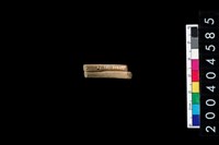 藏品(陶環)的圖片