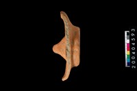 藏品(陶蓋殘件)的圖片