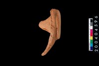 藏品(陶蓋殘件)的圖片