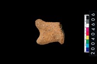 藏品(陶蓋把)的圖片