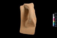 藏品(缽口)的圖片