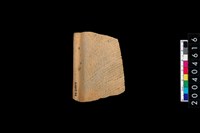 藏品(缽口)的圖片