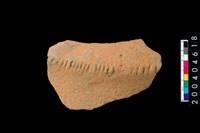 藏品(折肩)的圖片