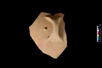 藏品(帶橫把腹片)的圖片