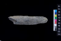 藏品(石錘)的圖片