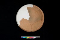 藏品(底部)的圖片