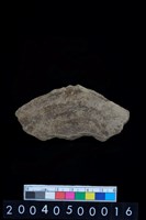 藏品(砥石)的圖片