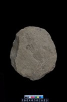 藏品(砍砸器)的圖片