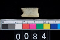 藏品(玉管珠)的圖片