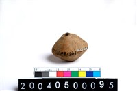 藏品(陶紡輪)的圖片