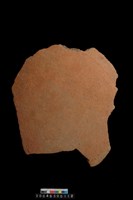 藏品(底部)的圖片