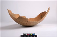 藏品(覆臉陶殘件)的圖片