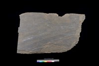 藏品(石板)的圖片