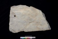 藏品(石板)的圖片