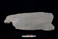 藏品(東側板)的圖片