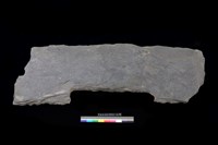 藏品(西側板)的圖片