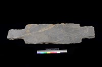 藏品(蓋板)的圖片