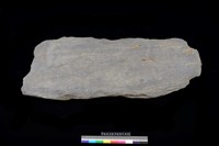 藏品(蓋板)的圖片