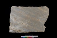 藏品(石板)的圖片