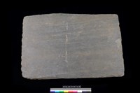 藏品(北端板)的圖片