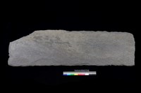 藏品(東側板)的圖片