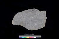 藏品(蓋板)的圖片