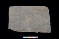 藏品(石板)的圖片