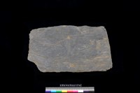 藏品(北端板)的圖片