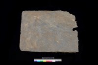 藏品(北端板)的圖片