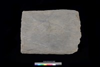 藏品(南端板)的圖片