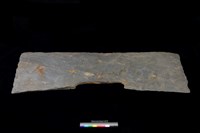 藏品(西側板)的圖片